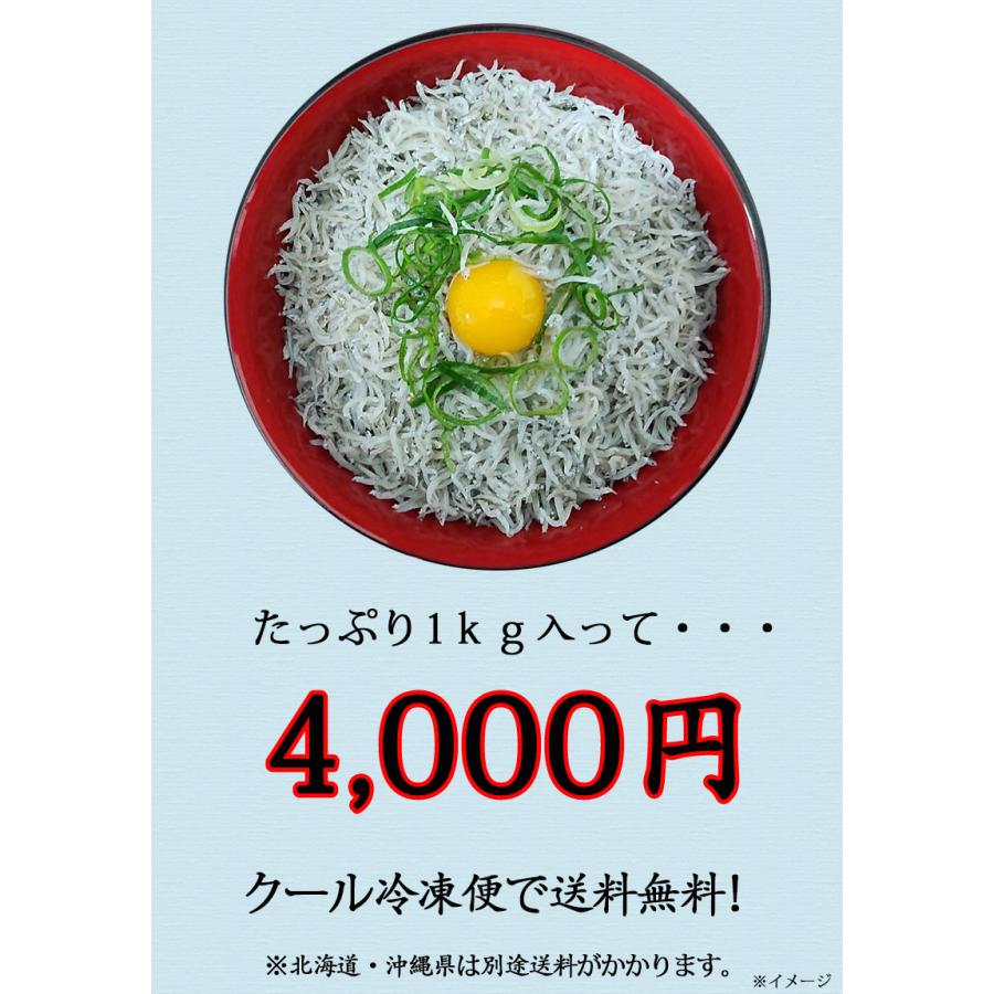 新物 しらす干し 1Kg シラス 国産 釜揚げしらす干し 1Kg 送料無料 海産物