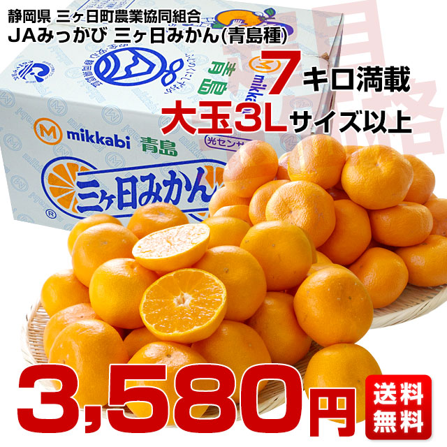 静岡県より産地直送 JAみっかび 三ケ日みかん (青島種) 3Lサイズ 7キロ (30玉から40玉）送料無料 三ヶ日 みつかび ミカン 温州みかん