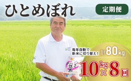 〈定期便〉 ひとめぼれ 白米 10kg（5kg×2袋）×8回 計80kg 8ヶ月 令和5年 精米 土づくり実証米 毎年11月より 新米 出荷