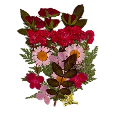 A-ONE 匯旺 真花壓花 BB05 中花包 Set 2  紅花綠葉