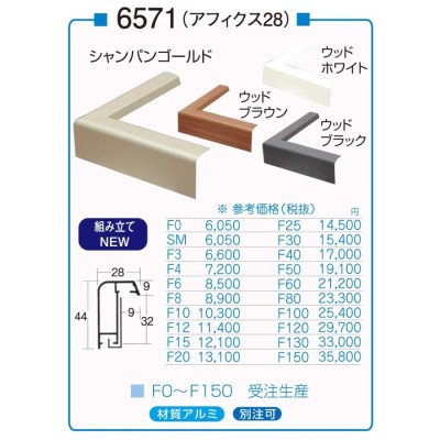 油絵/油彩額縁 アルミフレーム 仮縁 6573 サイズ P10号 チタン 黒