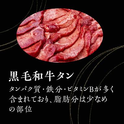 ふるさと納税 鹿児島市 自慢の鹿児島県産黒毛和牛タン　レトルトシチュー　K084-002