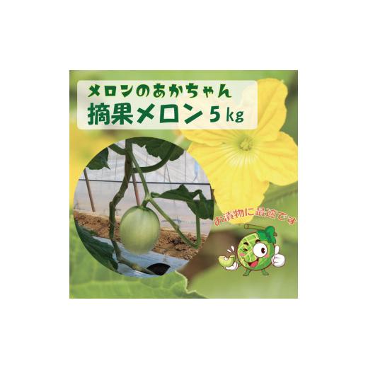 ふるさと納税 茨城県 鉾田市 子メロン（摘果メロン）5kg 2023／10／1〜