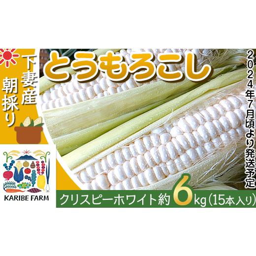 ふるさと納税 茨城県 下妻市 66-26下妻産朝採りとうもろこし約6kg（クリスピーホワイト・15本入り）