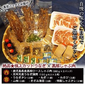 絶品★極上カットうなぎ×黒豚しゃぶ肉 合計約1.1kg e0-044