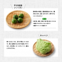 産直おすず村 季節の野菜と果物 厳選 詰め合わせセット（小） 全4回