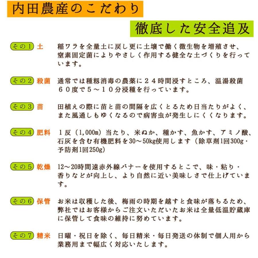 イクヒカリ 精米 5キロ 送料無料 令和5年度産 新米 1等級 福井県産 令和 おいしいお米 ふるさとの味