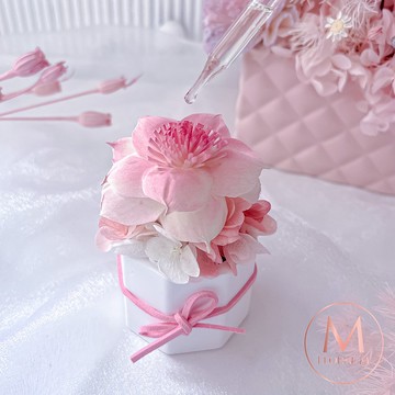 加州落日永生香氛擴香花沙灘粉 (贈送5ml香氛油)