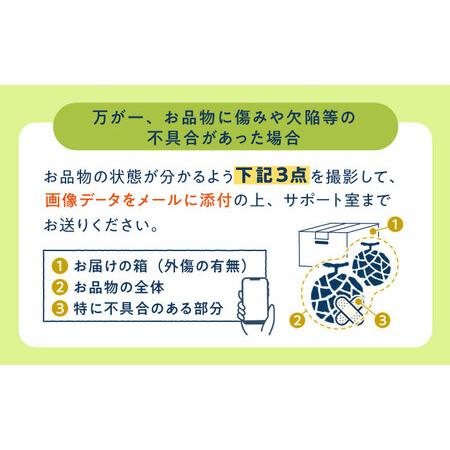 ふるさと納税 タカミメロン 約5kg（3?5玉） 《小値賀町》【ながさき西海農協小.. 長崎県小値賀町