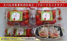 スパルタ生まれのひみこ ミニトマト 約120g×12パック＆トマトあめ3袋 セット GC-19 フルーツミニトマト トマトあめ