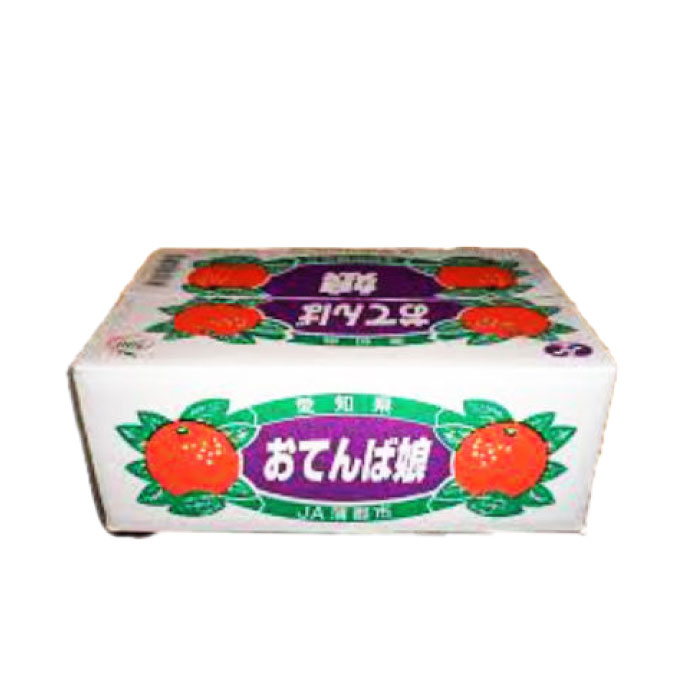 [予約 11月5日-11月30日の納品] 蒲郡みかん おてんば娘 約5kg 愛知県蒲郡産 箱入娘　冬ギフト お歳暮 御歳暮