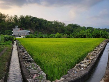 可作農保／山景觀漂亮小農地2｜高雄市美濃區龍肚段