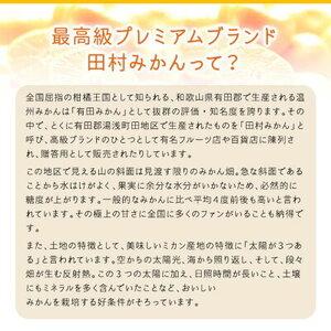 ふるさと納税 AB6043_絶品！ 田村みかん 10kg (2Sサイズ) 和歌山県湯浅町