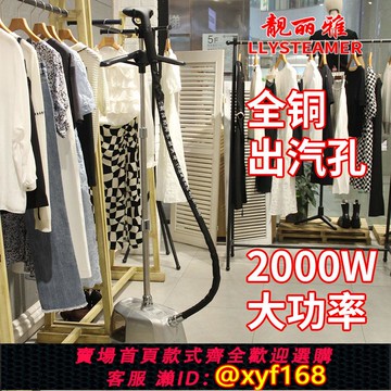 {可打統編 保固一年}靚麗雅蒸氣掛燙機商用服裝店專用蒸氣熨斗燙衣服家用立式大功率熨斗