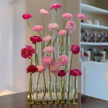 🎀花瓶 花瓶陶瓷 花瓶玻璃 花瓶北歐 試管花瓶ins風高顏值玻璃網紅擺件鮮花水培花器組合插花瓶裝飾品