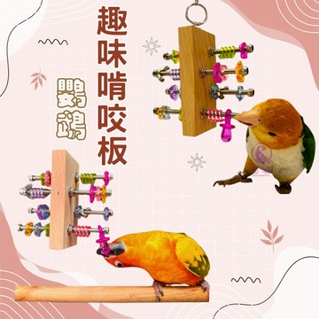【現貨】趣味啃咬板 鸚鵡玩具 啃咬玩具 趣味中小型鳥 益智啃咬 娛樂防咬毛 鳥玩具 鸚鵡啃咬玩具