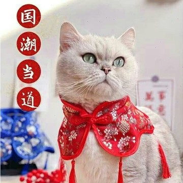 🔥台灣現貨秒發中式喜慶新年寵物衣服 寵物新年衣服 喜慶衣服 狗衣服 貓衣服 貓狗衣服過年 寵物披肩 寵物衣服 寵物圍脖