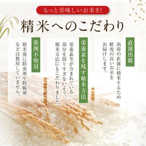 ふるさと納税 定期便 令和5年産 あきたこまち 精米 10kg（5kg×2袋）3ヶ月連続発送（合計 30kg）秋田県 男鹿市 秋田県男鹿市