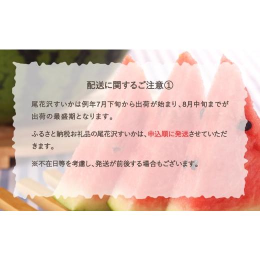 ふるさと納税 山形県 尾花沢市 先行予約 尾花沢すいか Lサイズ 約6kg×2玉 7月下旬〜8月10日頃発送 2024年産 令和6年産 JA ja-su1xx2