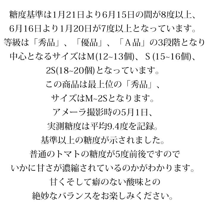 トマト 長野県産 静岡県産 高糖度フルーツトマト アメーラ 秀品 約1kg 2S〜Mサイズ 12〜20個