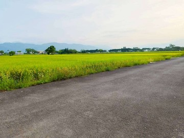 耕莘護專方正大面寬足坪美景農地｜宜蘭縣三星鄉尚武段