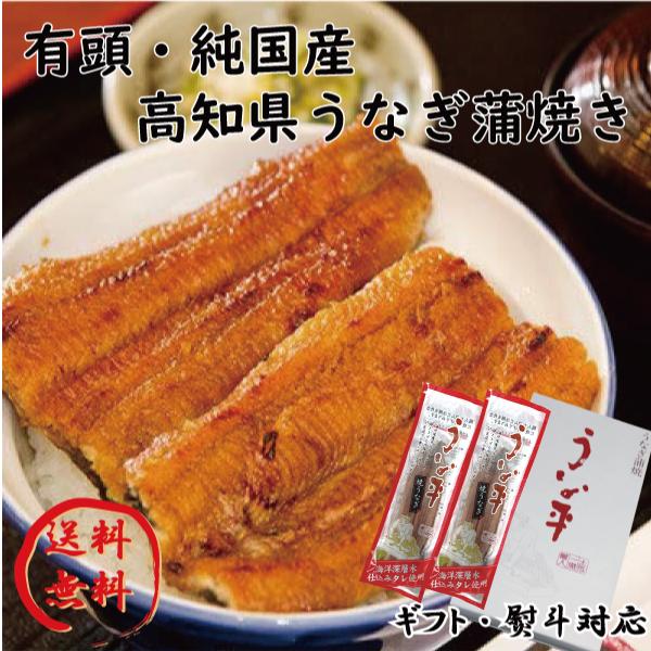 土用の丑の日　高知　国産　鰻　蒲焼　2尾セット　贈り物 ギフト 内祝 御歳暮 御中元 高知　特産品