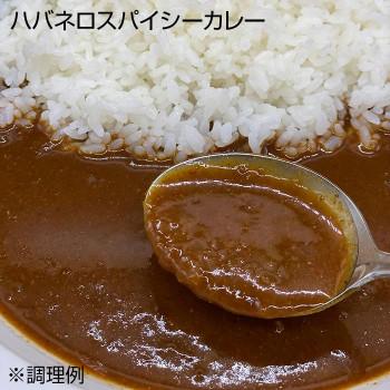 ご当地カレー ハバネロスパイシーカレー＆ドクターイエローカレー 各5食セット (軽減税率対象)