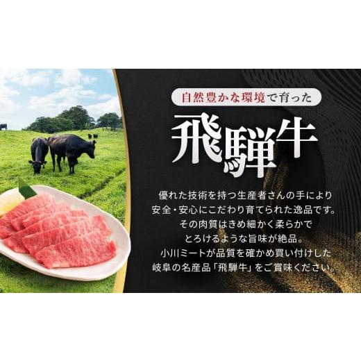 ふるさと納税 岐阜県 大野町 飛騨牛Ａ5 赤身肉 スライス 500ｇ モモ 又は カタ 肉 ｜国産 肉 牛肉 焼肉 すき焼き しゃぶしゃぶ 和牛 黒毛和牛 赤身 グルメ A5…