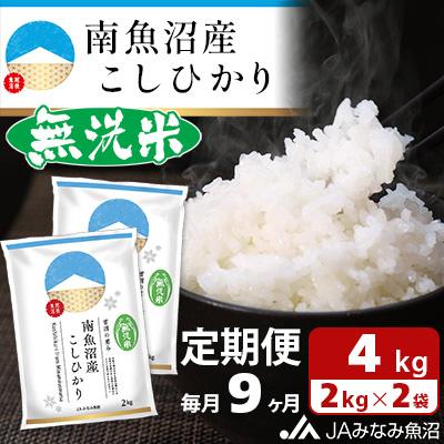 ふるさと納税 南魚沼市 ≪無洗米≫南魚沼産こしひかり 精米 4kg(2kg×2袋) 全9回