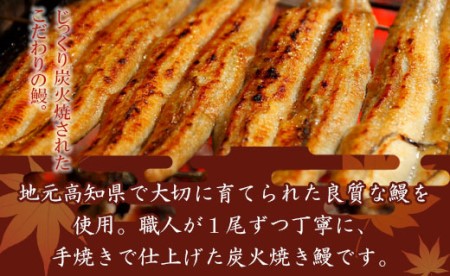 炭火手焼のうなぎ蒲焼130g×2尾セット 蒲焼のたれ付き fb-0017