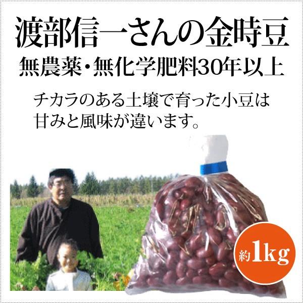 北海道産 無農薬 金時豆 渡部信一さんの金時豆約1kg 無農薬 無化学肥料栽培30年の美味しい金時豆  渡部さんは化学薬品とは無縁の農業を営む生産者