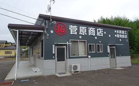 岩手県 菅原商店 うにと塩だけで作る 塩うに 100g 2個セット YD-356