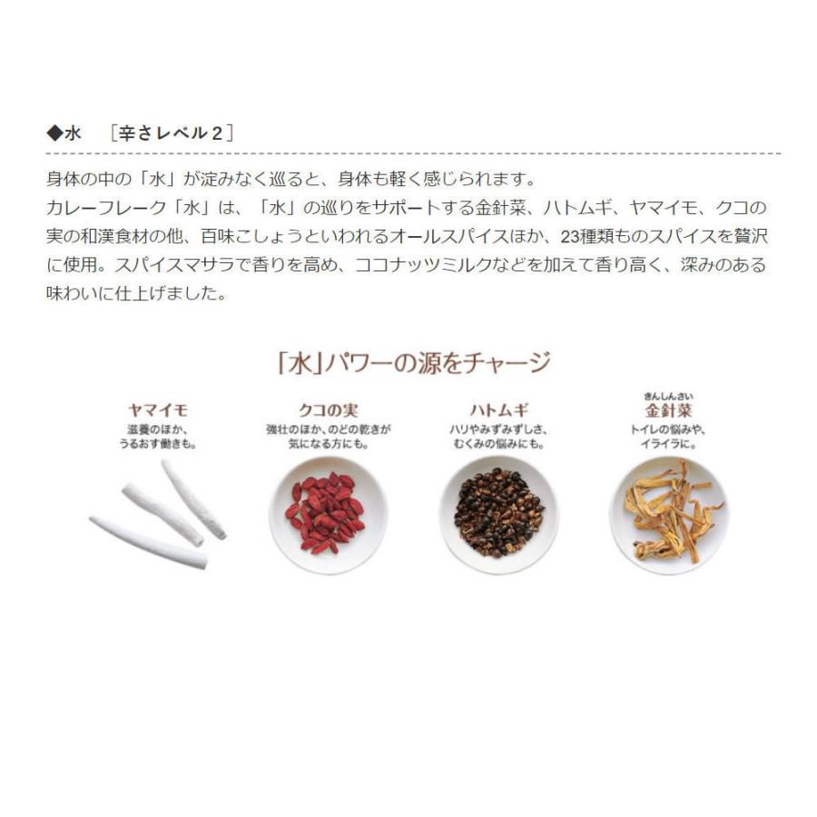 DHC 薬膳カレー「水」カラダ巡る 直火焼 カレーフレーク  110g