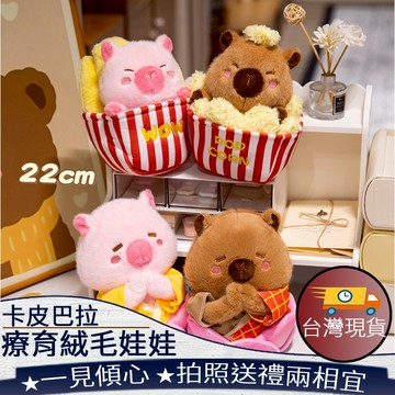 ❤️台灣現貨【治癒系卡皮巴拉絨毛娃娃】水豚絨毛娃娃 卡皮巴拉公仔 佛系爆米花水豚 療癒系玩偶 禮物 裝飾420