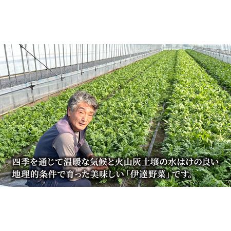 ふるさと納税 北海道 伊達 大滝農園 株張り春菊 8袋 野菜 サラダ 北海道伊達市