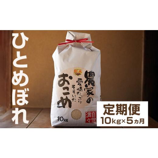 ふるさと納税 岩手県 矢巾町 令和5年産　岩手県矢巾町　ひとめぼれ精米10kg×5ヵ月