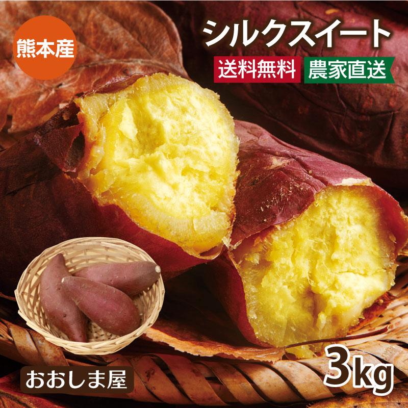 さつまいも シルクスイート 3kg（9-15本）送料無料 熊本産 生芋 さつま芋 唐芋 からいも ＜予約2023年12月上旬より出荷予定＞