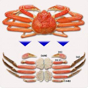 甲羅組 カット 生 ズワイガニ　1kg 特大＆極太サイズ かに刺し カニ鍋 カニしゃぶ 焼き蟹 用 約4人前　ギフト