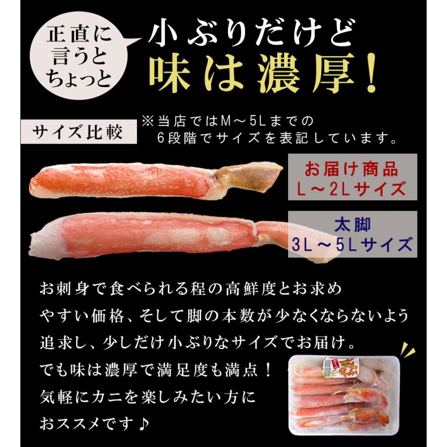 お歳暮 御歳暮 2023 ずわいがに 500g ギフト 生 むき身  カニ かに ズワイガニ 蟹 ポーション お祝い