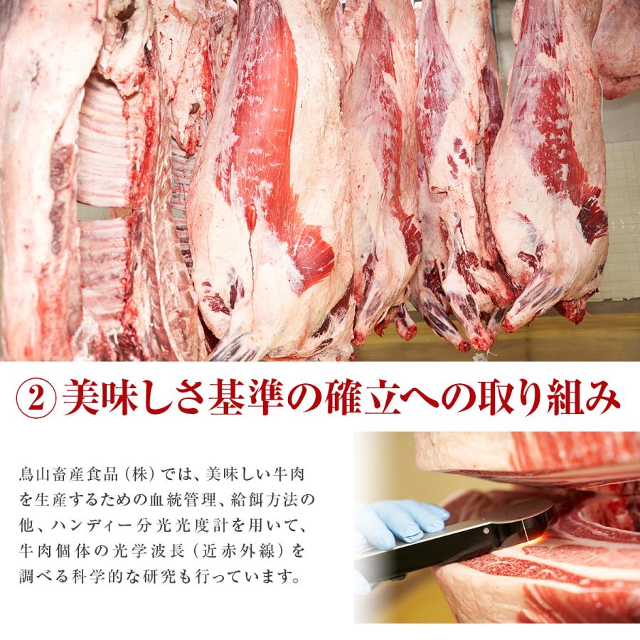 焼肉 セット ギフト 肉 牛肉 赤城和牛 赤身 霜降り 焼肉 食べ比べ セット 600g 焼肉のたれ 旨みしょうゆだれ付 黒毛和牛 バーベキュー  送料無料 冷凍