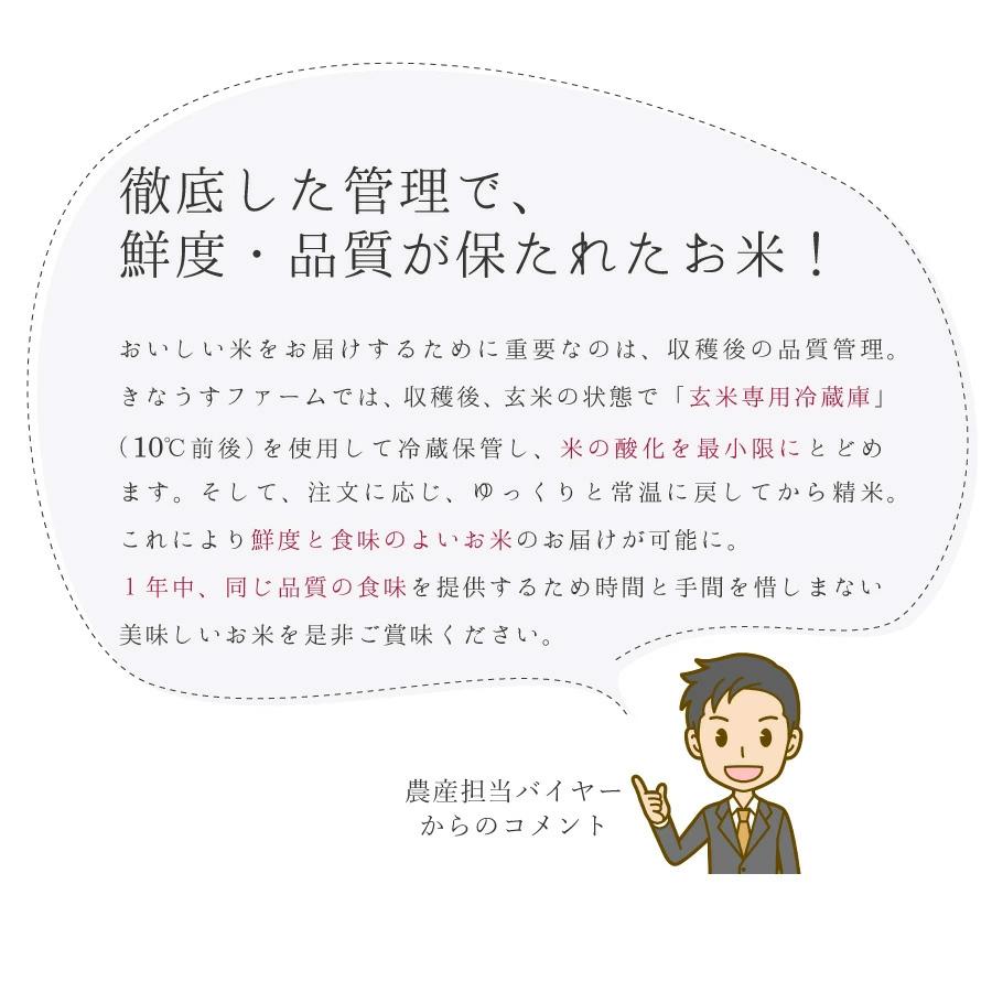 本日クーポンで10％OFF ゆめぴりか 無洗米 10kg 特別栽培米 新米 令和5年産 北海道産 米 農家直送 特A 減農薬 5kg×2 2023年産 送料無料