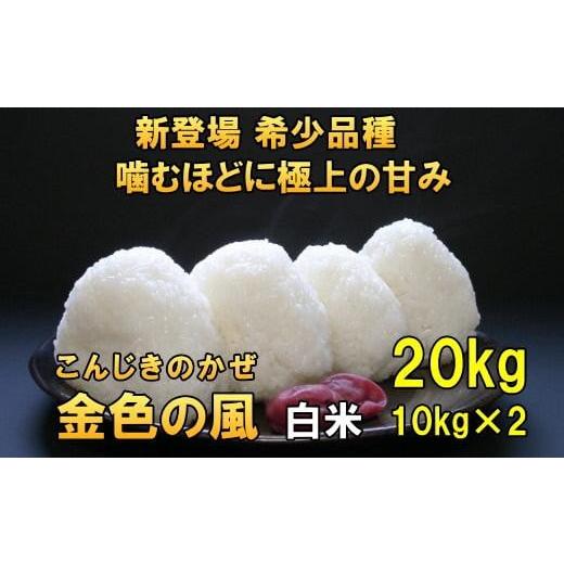 ふるさと納税 岩手県 奥州市 新登場の高級米　令和5年産　新米  岩手県奥州市産 金色の風