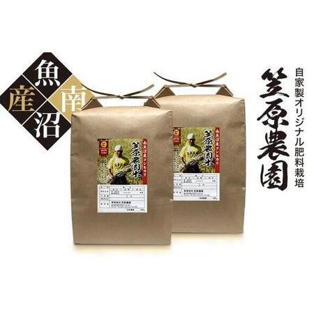 ふるさと納税 南魚沼産 笠原農園米 コシヒカリ 10kg （白米5kg×2袋） 新潟県南魚沼市