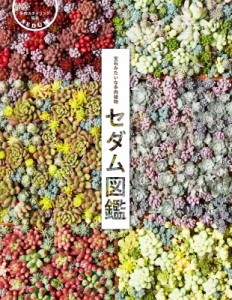  多肉スタイリング協会   セダム図鑑 宝石みたいな多肉植物