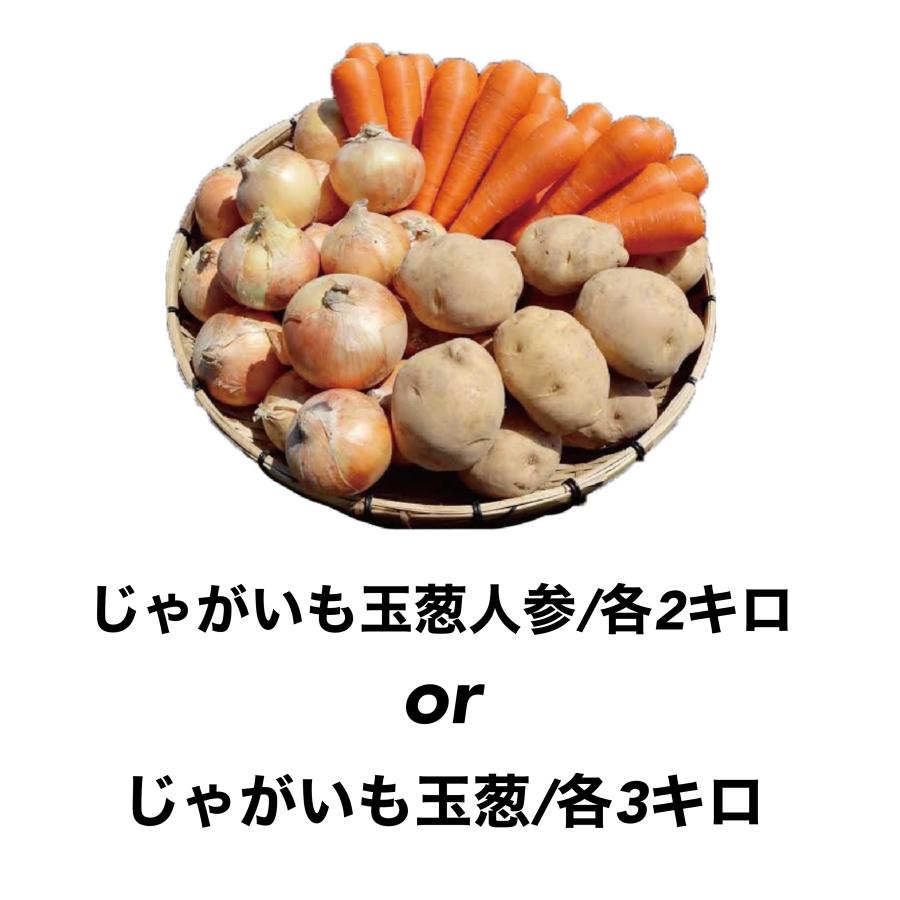 泉州八百屋  厳選 野菜 詰め合わせ セット 検品済み 常温