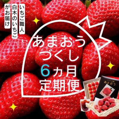 ふるさと納税 小郡市 いちご職人 白木のいちご あまおうづくし 6回コース