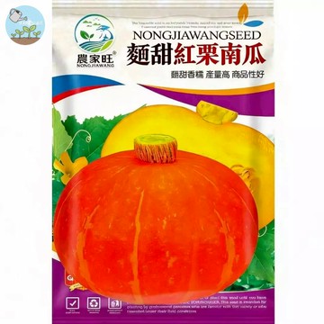 【原廠包裝】一品紅栗南瓜種子（Yipin Red Chestnut Pumpkin）20粒裝 甜栗子風味 口感鬆Q香甜