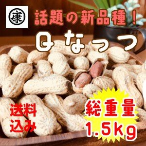 さや煎り落花生  令和5年産千葉県産Ｑなっつ 1.5kg (500g×3袋) チャック付袋入　お中元　お歳暮