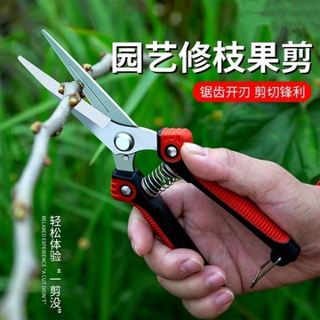 ✈速出貨🔥強力採果剪刀園藝省力修枝剪不鏽鋼帶鋸齒園林剪樹剪子果樹剪蔬果