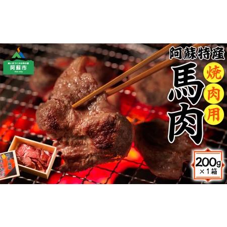 ふるさと納税 低カロリーで高タンパク、鉄分豊富な馬肉焼肉！ ver.2 熊本県阿蘇市